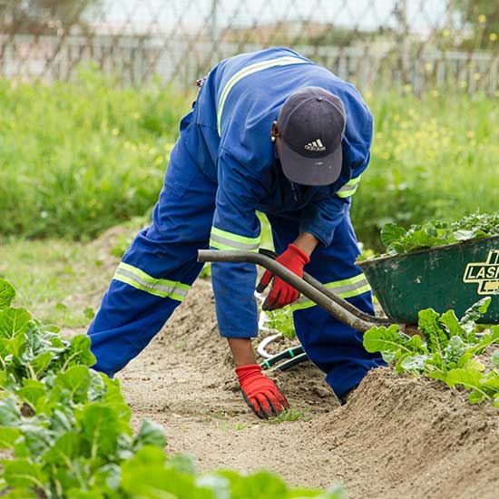 Irrigation
